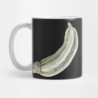 Fennel seed under the microscope Mug